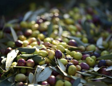 Free pile of olives photo, public domain food CC0 image.
